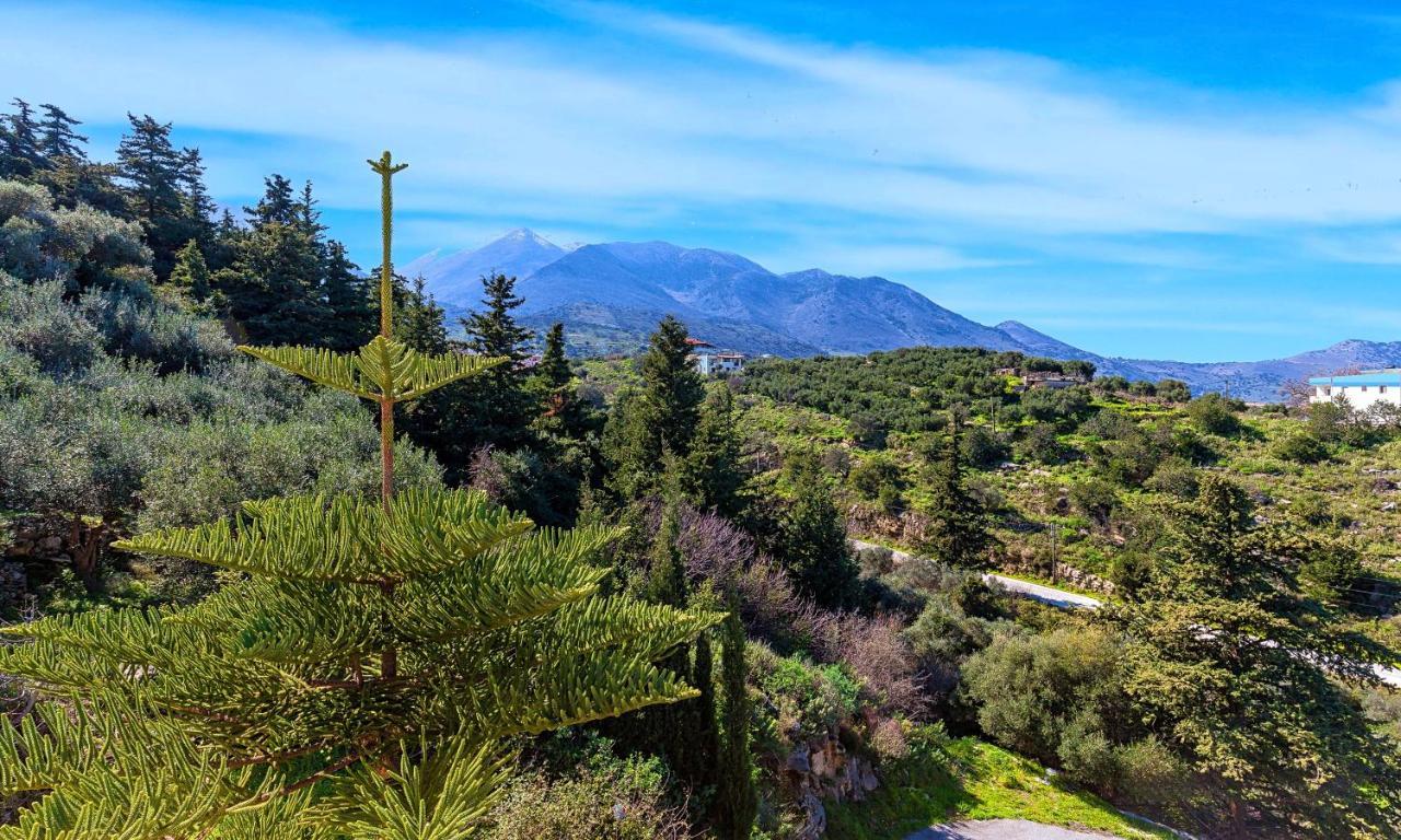 Cretan Sunny Villa Kournás Exterior foto